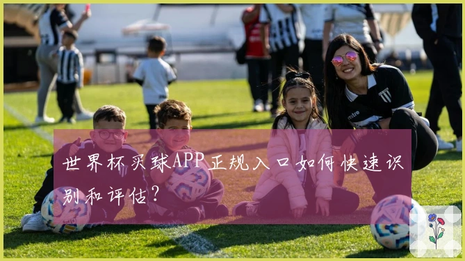 世界杯买球APP正规入口如何快速识别和评估？