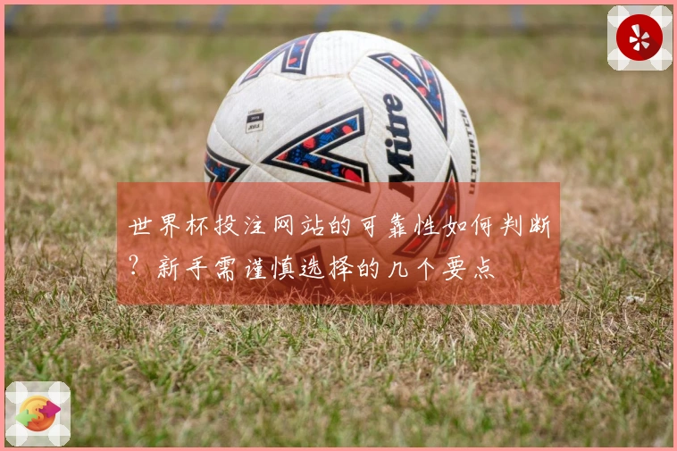 世界杯投注网站的可靠性如何判断?新手需谨慎选择的几个要点