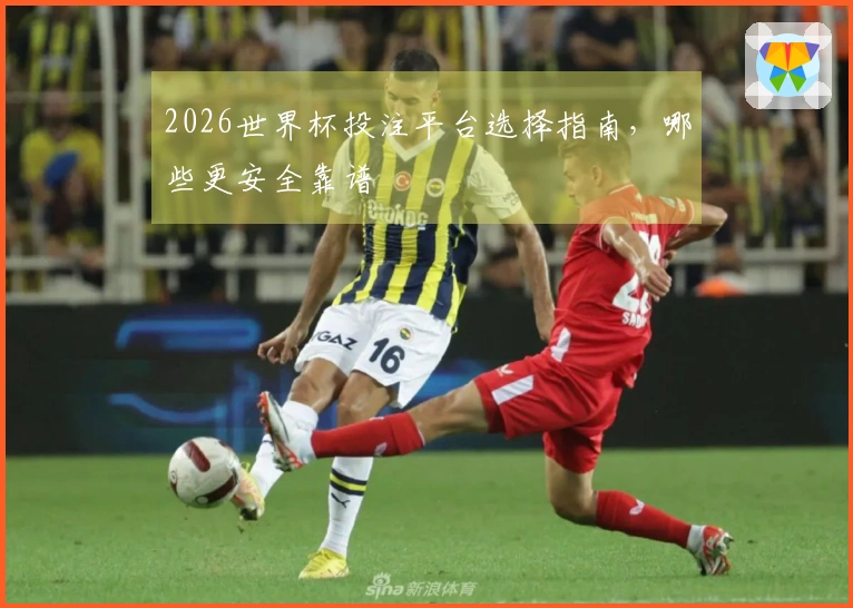 2026世界杯投注平台选择指南，哪些更安全靠谱