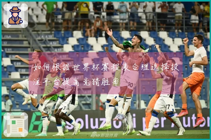 如何根据世界杯赛程表合理选择投注平台提高竞猜胜率