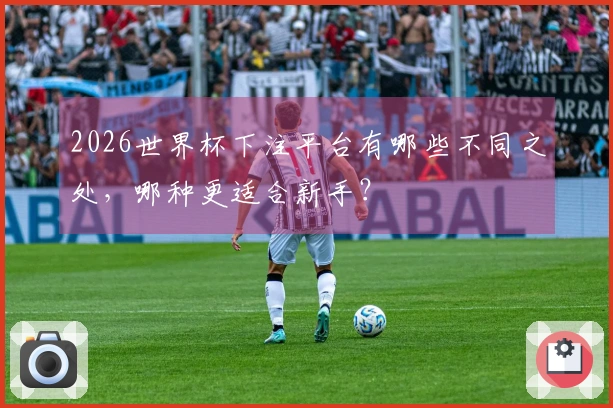 2026世界杯下注平台有哪些不同之处，哪种更适合新手？