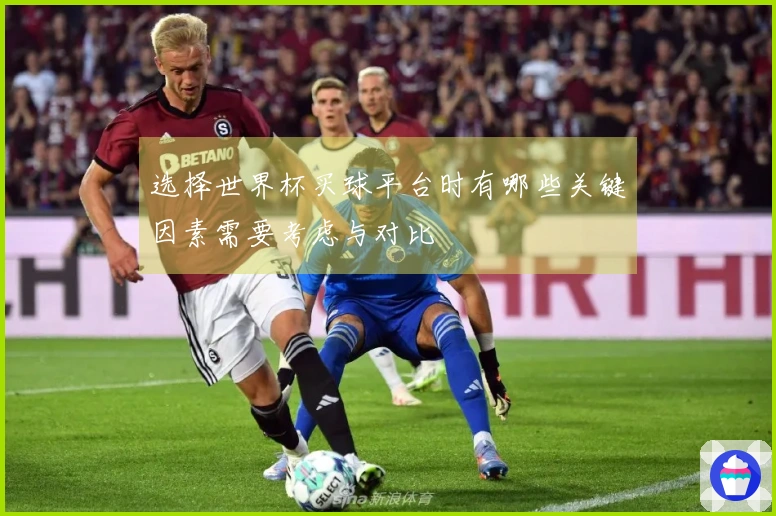 选择世界杯买球平台时有哪些关键因素需要考虑与对比