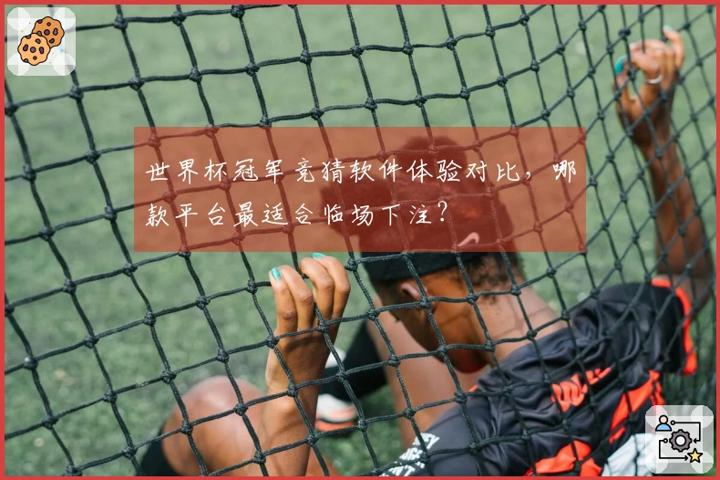 世界杯冠军竞猜软件体验对比，哪款平台最适合临场下注？
