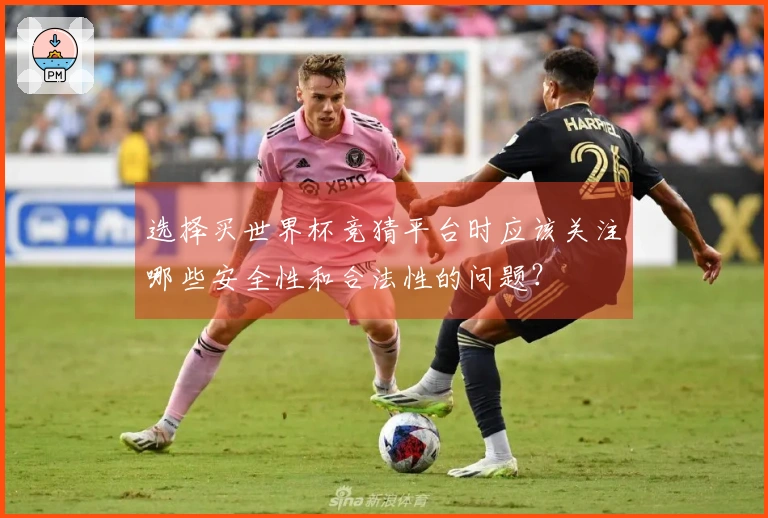 选择买世界杯竞猜平台时应该关注哪些安全性和合法性的问题？
