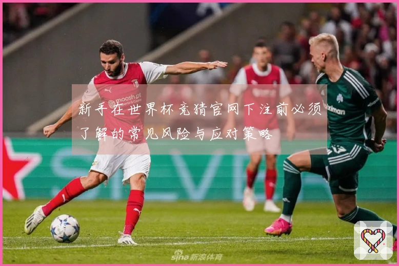 新手在世界杯竞猜官网下注前必须了解的常见风险与应对策略