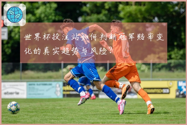 世界杯投注站如何判断冠军赔率变化的真实趋势与风险？