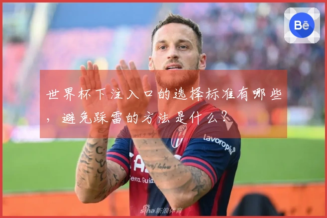 世界杯下注入口的选择标准有哪些，避免踩雷的方法是什么？