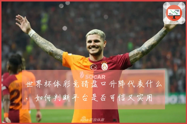 世界杯体彩竞猜盘口升降代表什么，如何判断平台是否可信又实用