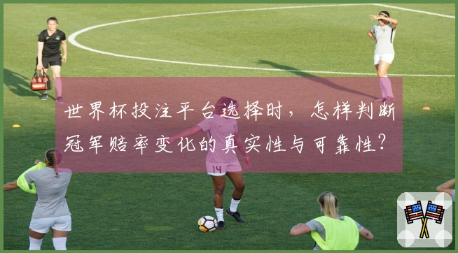 世界杯投注平台选择时，怎样判断冠军赔率变化的真实性与可靠性？