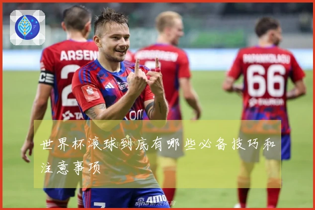 世界杯滚球到底有哪些必备技巧和注意事项