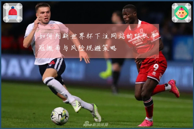 如何判断世界杯下注网站的球队夺冠概率与风险规避策略