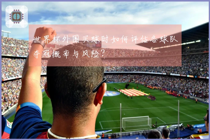 世界杯外围买球时如何评估各球队夺冠概率与风险？