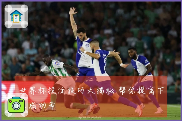 世界杯投注技巧大揭秘 帮你提高下注成功率