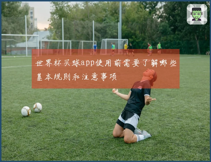 世界杯买球app使用前需要了解哪些基本规则和注意事项