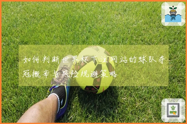 如何判断世界杯下注网站的球队夺冠概率与风险规避策略