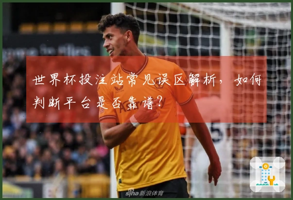 世界杯投注站常见误区解析，如何判断平台是否靠谱？