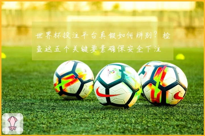 世界杯投注平台真假如何辨别?检查这五个关键要素确保安全下注