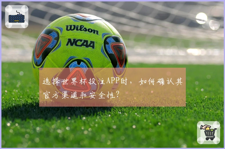 选择世界杯投注APP时，如何确认其官方渠道和安全性？