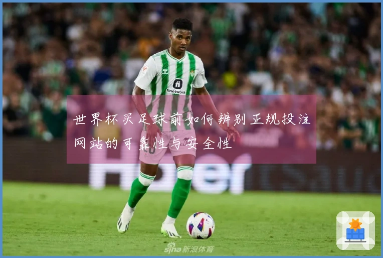 世界杯买足球前如何辨别正规投注网站的可靠性与安全性