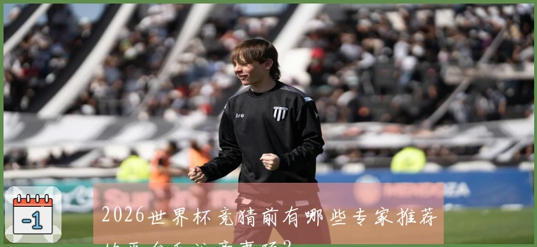 2026世界杯竞猜前有哪些专家推荐的平台和注意事项？