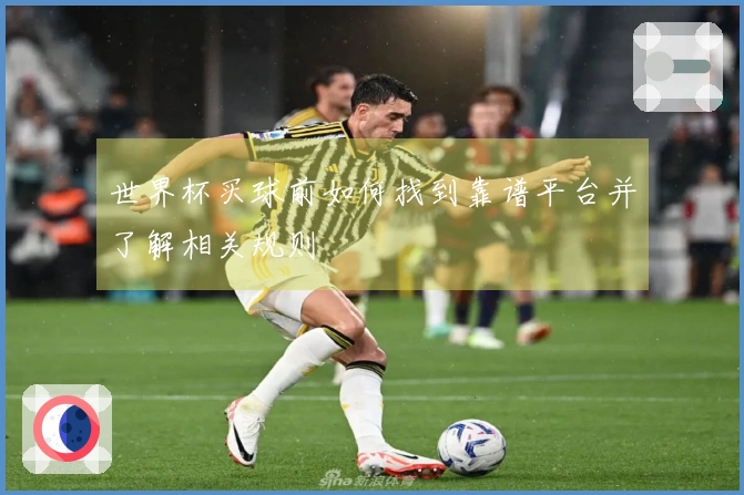 世界杯买球前如何找到靠谱平台并了解相关规则